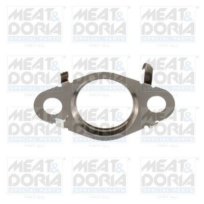 Gasket, EGR valve